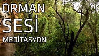 Orman ve Doğa Sesi Meditasyon I Rahatlatıcı Müzik [upl. by Shelia]