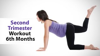 Second Trimester Workout 6th Months [upl. by Rohn953]