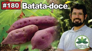 Autor da Própria Saúde  Batatadoce Colesterol diabetes hipertensão gastrite Câncer [upl. by Marylynne132]