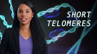 Telomere Biology Disorders explained [upl. by Etoile666]