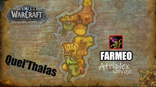 Farmear Atriplex salvaje en World of Warcraft [upl. by Arriet]