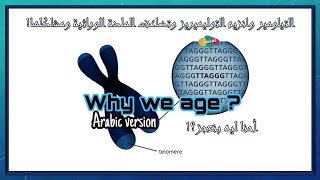 Telomere Telomerase and End replication problem بالعربى التيلومير وتضاعف المادة الوراثية ومشاكلها [upl. by Areyk]