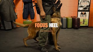 The Focus Heel For Beginners [upl. by Ave]