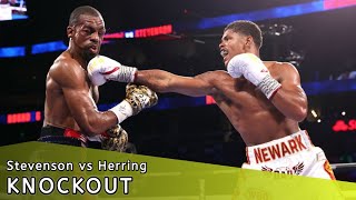 Shakur Stevenson vs Jamel Herring  Full Fight Highlights [upl. by Seligmann]