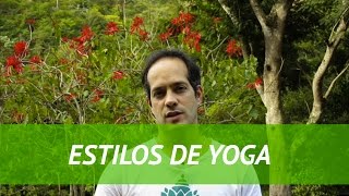 Tipos de Yoga  Saiba quais são os diferentes Tipos de Yoga [upl. by Letnohc]