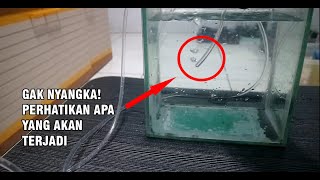 Cara Membuat Aerator Tanpa Listrik Dari Botol Bekas [upl. by Tristis]