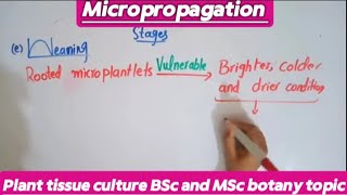 MicropropagationProcedureMethodAdvantagesDisadvantages [upl. by Tennek]