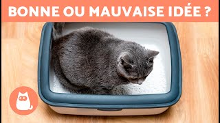 Deux CHATS peuventils PARTAGER la MÊME LITIÈRE  🐱🐱 Découvrezle [upl. by Lekar390]