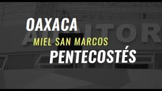 OAXACA NOV 2018  PENTECOSTÉS MIEL SAN MARCOS [upl. by Irby]