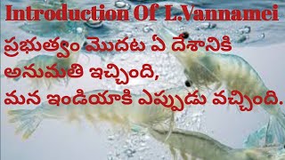 History of introductions of Penaeid shrimp LVannamei Neworldlife [upl. by Burnett]