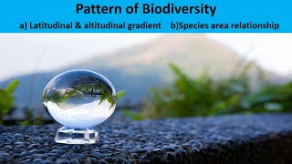 Pattern of Biodiversity [upl. by Abigael]