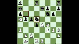 Garry Kasparovs Greatest Chess Games V2  Garry Kasparov vs Veselin Topalov 1999 [upl. by Einohtna]