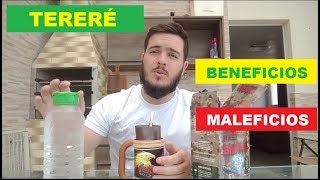 TERERE  COMO FAZER E QUAIS OS BENEFICIOS E MALEFICIOS [upl. by Eiram978]