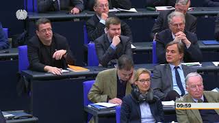 Bundestag Debatte über Deutsch als Landessprache [upl. by Etnovaj307]