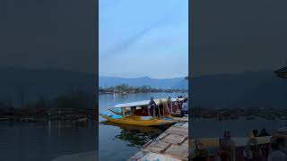 Dal Lake⛵ shorts youtubeshorts viralshort shortvideo kashmir Viralvideo Vibe View nature [upl. by Dnalram]