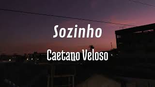 Sozinho  Caetano Veloso cover [upl. by Cutcheon]