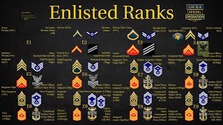 US Military All Branches ENLISTED Ranks Explained [upl. by Imhsar]