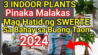 3 Halaman Sa LOOB Ng BAHAY  Pinaka SWERTE sa Pananalapi Sa Buong Tao Ng 2024 [upl. by Pierre415]