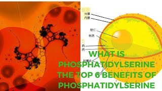 What Is Phosphatidylserine The Top 6 Benefits of Phosphatidylserine [upl. by Maddocks691]