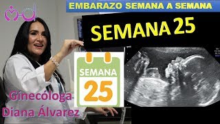 SEMANA 25 EMBARAZO SEMANA A SEMANA POR GINECOLOGA DIANA ALVAREZ [upl. by Inger]