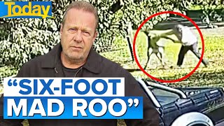 Man fights kangaroo for six minutes in Victoria  Today Show Australia [upl. by Garold]