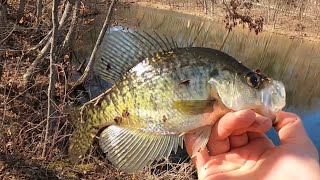 Bank Fishing For Spring Crappie [upl. by Omer97]