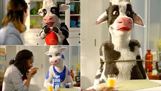 All Funny Lactose Free Lactaid Milk Cow Commercials [upl. by Irehc]