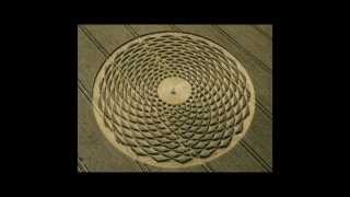 Flower Of Life Crop Circle Sacred Geometry [upl. by Onej389]