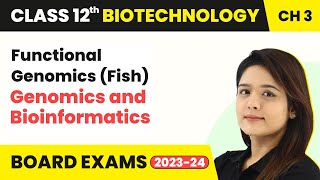 Functional Genomics Fish  Genomics and Bioinformatics  Class 12 Biotechnology Chapter 3 [upl. by Jochebed705]