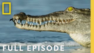 Oceans Full Episode  Hostile Planet [upl. by Rivard824]