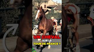 Un CHEVAL sest INTRODUIT au TOUR de FRANCE 🚴‍♂️🐎 [upl. by Udela707]