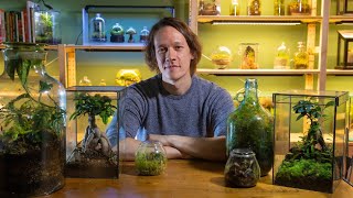 the ultimate terrarium guide [upl. by Hauger]