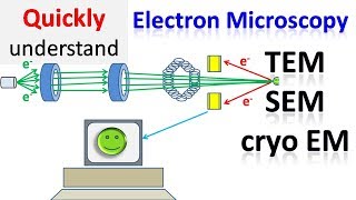 Electron microscope  TEM  SEM  Cryo EM [upl. by Ehctav]