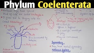 General characteristics Of Phylum Coelenterata  Phylum Cnidaria [upl. by Pedersen]