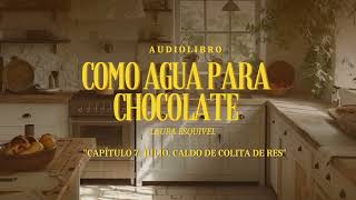 Como agua para chocolate  AUDIOLIBRO  Capítulo 7 Julio Caldo de colita de res [upl. by Kinimod]