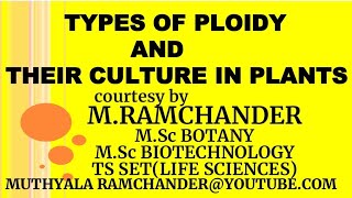 Types of PLOIDY and THEIR CULTURE IN PLANTS [upl. by Aicatsana]