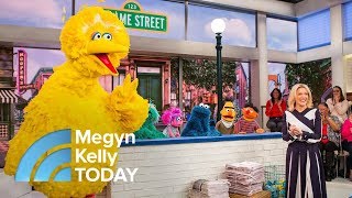 Meet Big Bird Elmo And Other ‘Sesame Street’ Stars In Honor Of Its 48th Seasons  Megyn Kelly TODAY [upl. by Samoht]