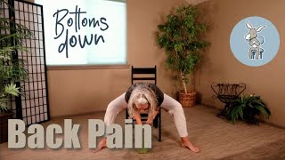 Chair Yoga  Back Pain  30 Minutes Seated [upl. by Ecirtnahs]