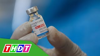 Phê duyệt mua 20 triệu liều vắc xin Vero Cell của Sinopharm  THDT [upl. by Ailecara969]