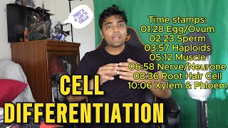 SPECIALISED CELLS Best Lesson Ever gcse cells cellbiology mrroshan [upl. by Arayc]