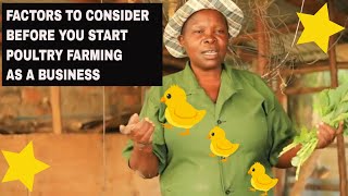 FACTORS TO CONSIDER BEFORE YOU START POULTRY FARMING AS A BUSINESS [upl. by Naihr]