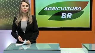 Preço da saca da soja de 60 kg chega a R 8900 em Paranaguá [upl. by Annoirb]