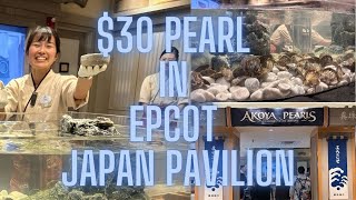 Discover Exquisite Akoya Pearls At Epcots Japan Pavilion  Only 30 For A Beautiful Keepsake [upl. by Enaols23]