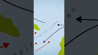 Thermal maximum of the PaleoceneEocene transition universe history earth documentary [upl. by Devine]