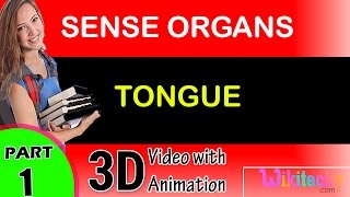 Tongue Sense Organs class 12 11 10 9 8 7 6 cbse neet exam tips preparation lectures videos [upl. by Ikey]