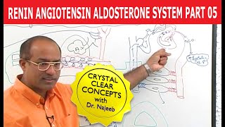 Renin Angiotensin Aldosterone System  RAAS Part 5👨‍⚕️ [upl. by Aneed]