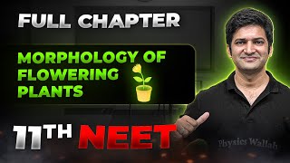 Morphology of Flowering Plants FULL CHAPTER  Class 11th Botany  Arjuna NEET [upl. by Llenor]