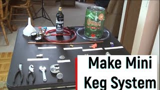 DIY Mini Keg System for Homebrew with Force Carbonation [upl. by Haland108]