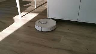 Roborock Q7 max testing and review dog household 2542023 [upl. by Lonnie990]