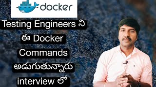 Docker Commands for QA Testing Engineer  LuckyTechzone [upl. by Neih]